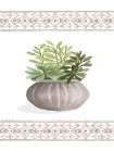 Aztec Succulent I Art Print