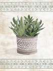 Aztec Succulent IV Art Print