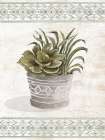 Aztec Succulent V Art Print