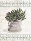 Aztec Succulent VI Art Print