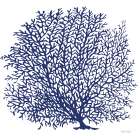 Navy Coral I Art Print