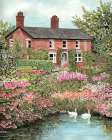 Swan Cottage Art Print