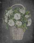Aged Floral Beauty II Art Print