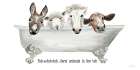 Farm Animals in the Tub Art Print