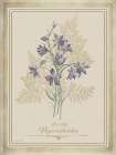 Vintage Botanical I Art Print