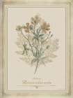 Vintage Botanical II Art Print