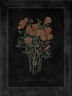 Poppy Botanical on Black Art Print