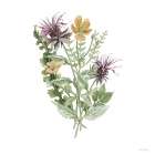 Botanical Mix II Art Print