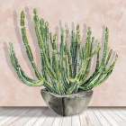 Prickly Potted Cactus Art Print