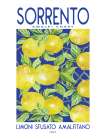 Sorrento Amalfi Coast Art Print