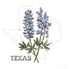 Texas Bluebonnets Art Print