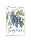 Chianti Wine Art Print