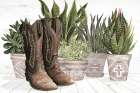 Western Plant Display Art Print
