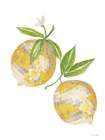 Disco Lemons Art Print