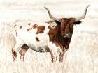 Longhorn and Proud Art Print