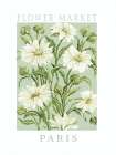 Flower Market Daisies Art Print