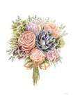 Succulent Bouquet Art Print