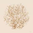 Pale Coral Portrait I Art Print