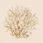 Pale Coral Portrait II Art Print