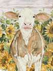 Sunflower Resting Spot Art Print