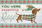 You Were Expecting Rudolph? Art Print