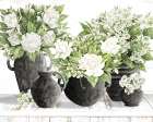 Black and White Beauty Art Print