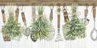 Hanging Herbs Art Print