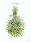 Tarragon Art Print