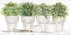 Herb Pots in a Row Art Print