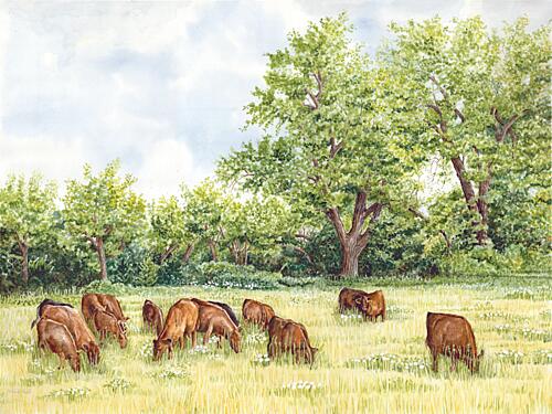 Tranquil Pastures I Gold Print
