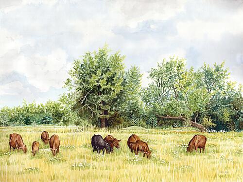 Tranquil Pastures II Gold Print