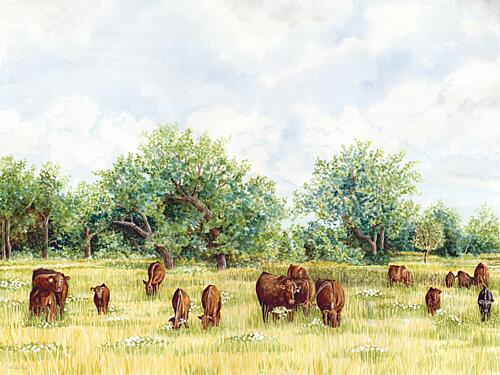 Tranquil Pastures III Gold Print