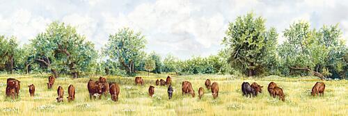 Countryside Cattle Gold Print