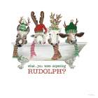 You Were Expecting Rudolph? Art Print