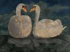 Dark Lake Swans Art Deco Print