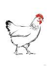 Black and White Chicken Sketch Minimalist Print