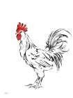 Black and White Rooster Sketch Art Print