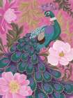 Pretty Peacock Art Print