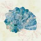 Blue And White Spiral Shell Art Print