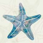 Blue And White Starfish Art Print