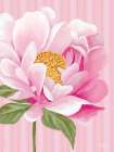 Pink Opening Rose Art Print