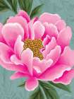 Pink Single Peony Art Print