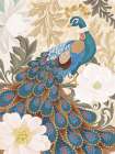 Elegant Peacock Art Print