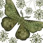 Decorated Moth Art Print