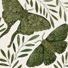 Decorated Moths Art Print