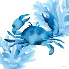 Reef Roamer 1 Art Print