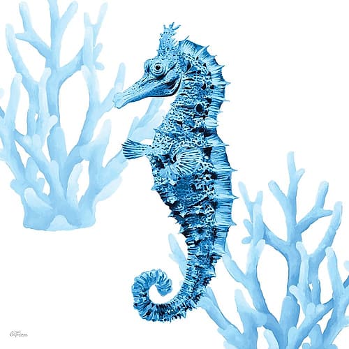 Reef Roamer 2 Art Print