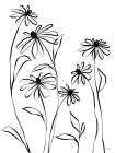 Simple Blooms I Art Print