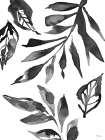 Watercolor Leaves III Art Print