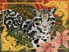 Clouded Leopard Art Print